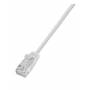 Wirewin - Triotronik PKW-LIGHT-STP-K6 10.0 WS - RJ-45 - RJ-45 - Mnnlich/mnnlich - Kupfer - 10/100/1000Base-T(X) - Cat6 (PKW-LI