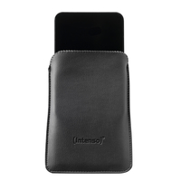 Intenso 10
