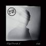 Shades (2LP 180 Gr.Gatefold Sleeve) 1