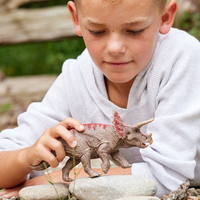 Schleich Triceratops 2