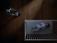 Dyson 13