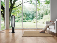 Dyson 10