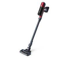 Rowenta 10