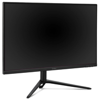 Viewsonic 13