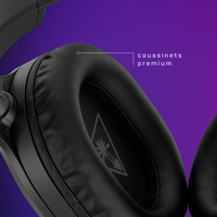 Turtle Beach 1