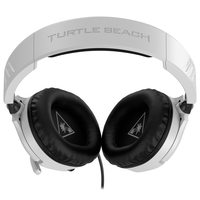 Turtle Beach 10