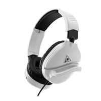 Turtle Beach 12