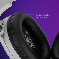Turtle Beach 1