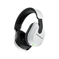 Turtle Beach 19