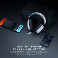 Turtle Beach 21