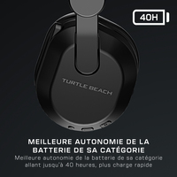 Turtle Beach 1