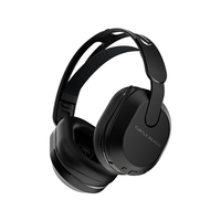 Turtle Beach 17