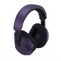 Turtle Beach 10