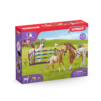 Schleich 9
