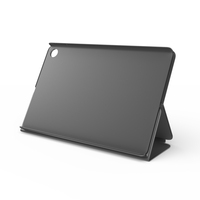 Lenovo Consumer 2