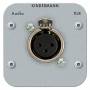 Kindermann - XLR 3 pol. 7441-412 54x54 mit Ltanschlussbuchse (7441000412)