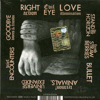 Right Thoughts, Right Words, Right Action 2