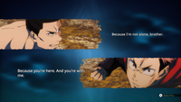 Picchiaduro 8