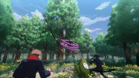 Picchiaduro 19
