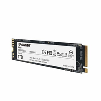 Patriot P300 - Ssd - 1 Tb - Intern - M.2 2280 - Pci Express 1