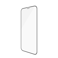 Panzerglass 6