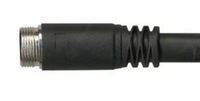 Kindermann 1