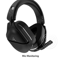Turtle Beach 20