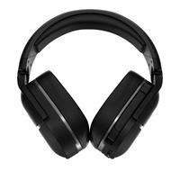 Turtle Beach 31