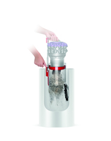 Dyson 13