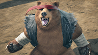 Picchiaduro 6