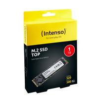 Intenso 3
