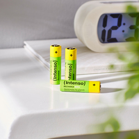 Pile E Batterie Ricaricabili 2