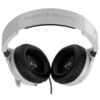 Turtle Beach 10