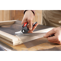 Bessey 4