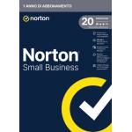 Norton - Nsb-250gb 20 Dev 12m Box