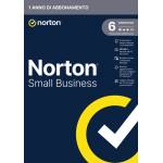 Norton - Nsb-250gb 6 Dev 12m Box