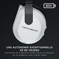 Turtle Beach 1
