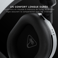 Turtle Beach 6