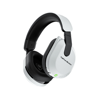 Turtle Beach 19