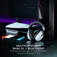 Turtle Beach 21
