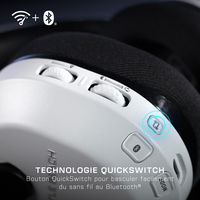 Turtle Beach 22