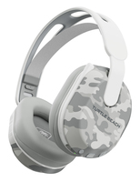 Turtle Beach 1