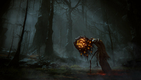 Gioco Di Ruolo (rpg) 14