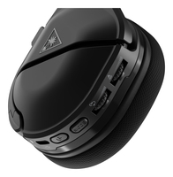 Turtle Beach 10