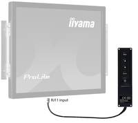 Iiyama 1