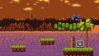 Sega 12