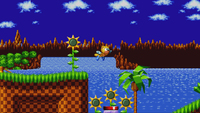 Sega 13