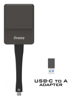 Iiyama 2