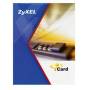 Avery Zweckform - Zyxel iCard CF USG 1000 2 year(s)