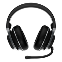 Turtle Beach 10